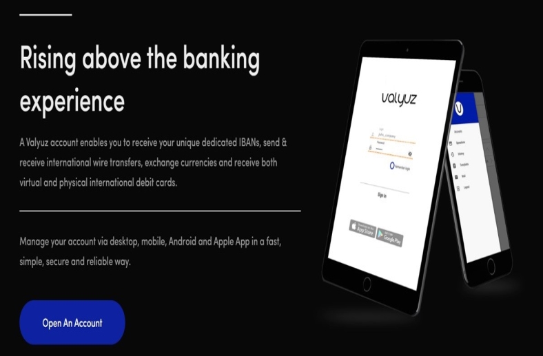 Valyuz Review Revolutionizing Business Payment Solutions with This Service Provide