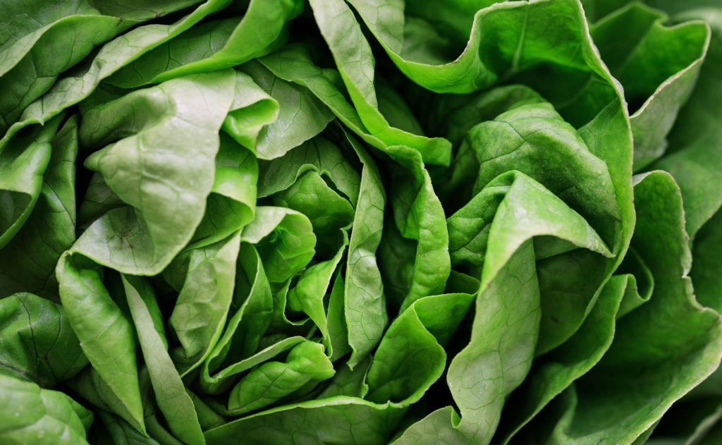 Green Salads With A Twist for Fresh Healthy Meals